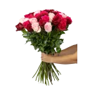 kytice ekvádorských růží